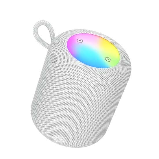 HC30 SPEAKER BT OCEANO GRIS