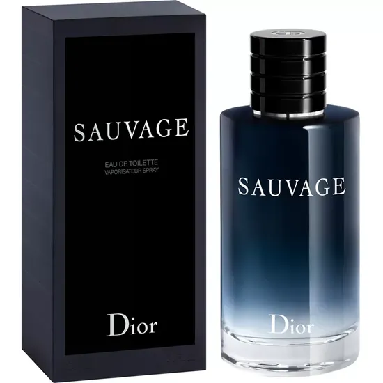 Perfume Christian Dior Sauvage Eau de Toilette 100ML